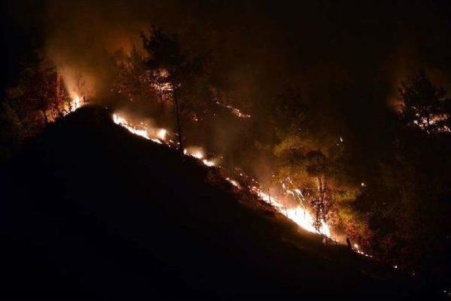 Tokat'ta Orman Yangını (2)