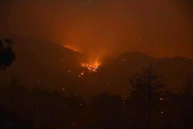 Tokat'ta Orman Yangını (2)
