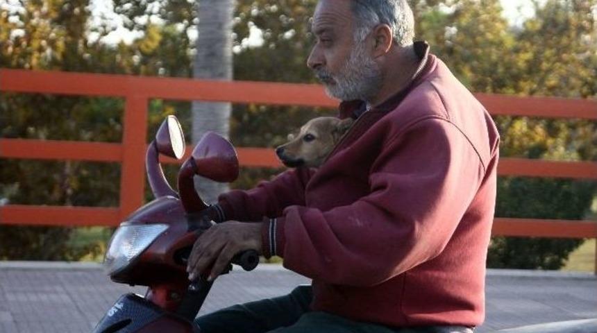 K&ouml;peğin Motosikletle Seyahat Keyfi