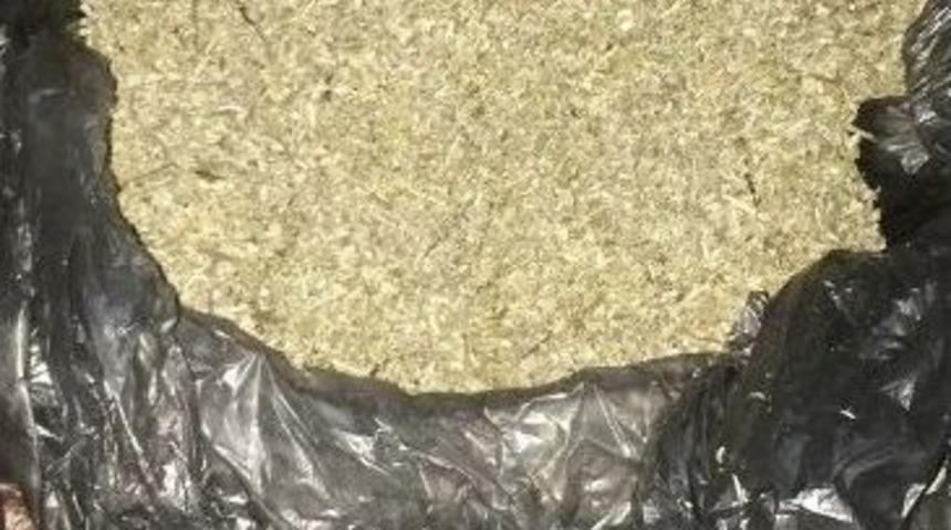 Y&uuml;zlerce Genci Zehirleyecek Bonzai İle Yakalandı