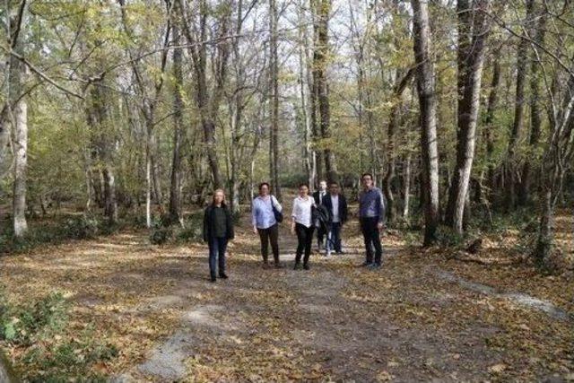 Bursa B&uuml;y&uuml;kşehir Belediyesi&rsquo;nden İğneada Longoz Ormanları Milli Parkı&rsquo;na Gezi 1