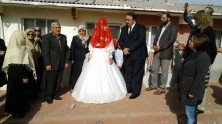 &lsquo;ahlat Ağacı&rsquo;nın &Ccedil;ekimleri Yenice Ve &Ccedil;an&rsquo;da Devam Ediyor