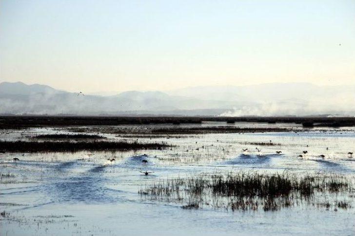 Kuş Cenneti’nde Sonbahar G2
