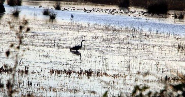 Kuş Cenneti’nde Sonbahar G3