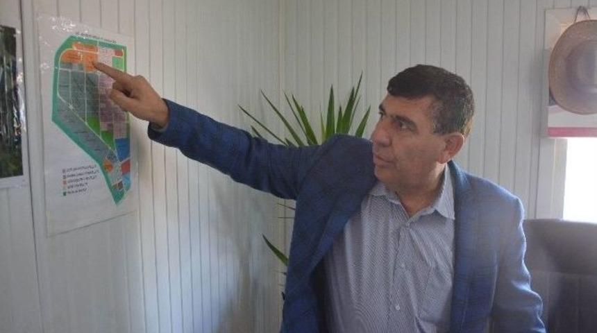 "organize Sorunlar B&ouml;lgesi" (&ouml;zel Haber)