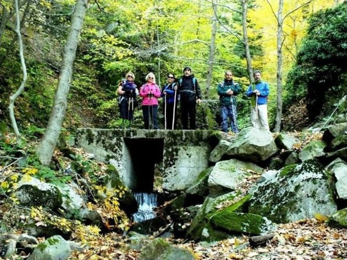 Kaz Dağları Reng&acirc;renk