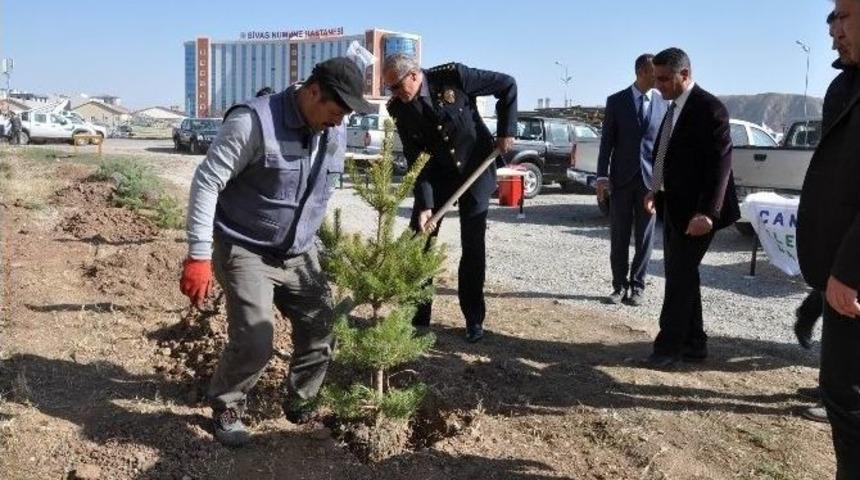 &Ccedil;edaş, 15 Temmuz Şehitleri Anısına Hatıra Ormanı Oluşturdu