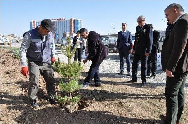 Çedaş, 15 Temmuz Şehitleri Anısına Hatıra Ormanı Oluşturdu 1