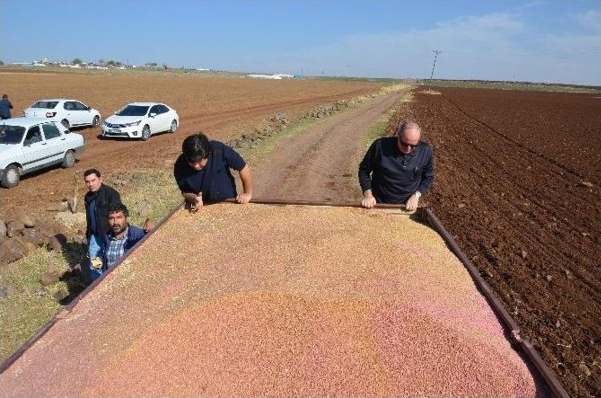 Tigem&rsquo;den &rsquo;tarla G&uuml;n&uuml;&rsquo; Etkinliği