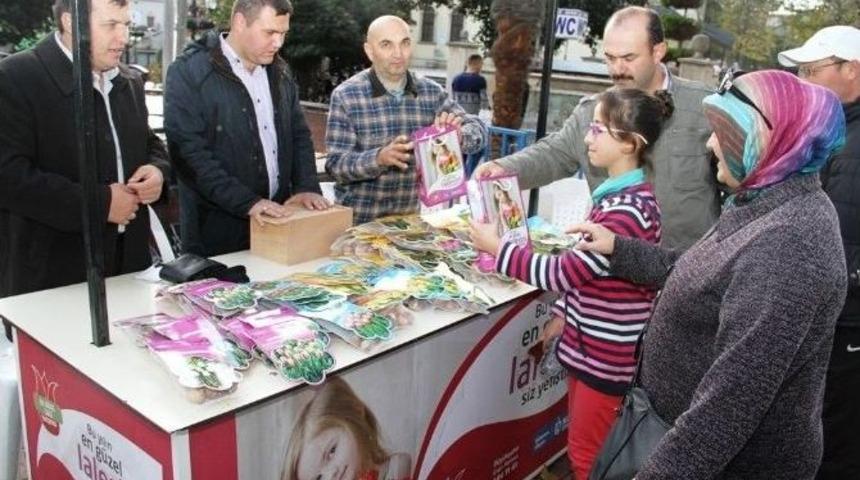 Lale Soğanı Satışları 14 Kasım&rsquo;da Başlıyor