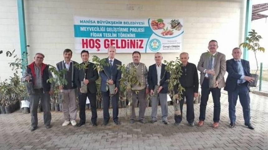 Ceviz, Ahmetli&rsquo;de Yaygınlaşacak