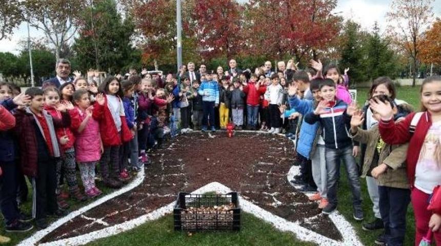 Sezonun Ilk Lalelerini Ilkokul &Ouml;ğrencileri Dikti