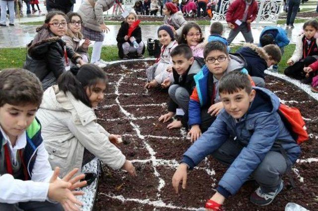Sezonun Ilk Lalelerini Ilkokul &Ouml;ğrencileri Dikti 1
