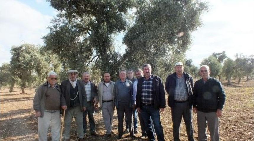 Ak Yenik&ouml;yl&uuml; &Uuml;reticilerin Toprak İsyanı