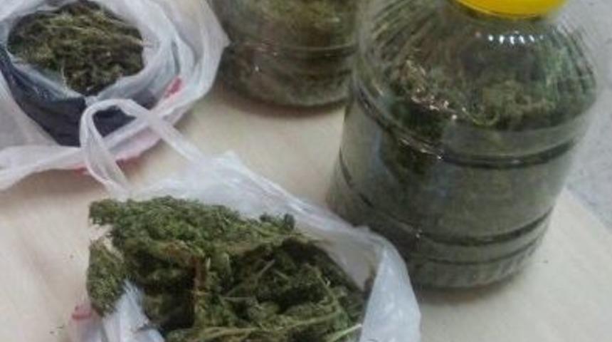 Manisa&rsquo;da &Ccedil;iftliğe Uyuşturucu Operasyonu