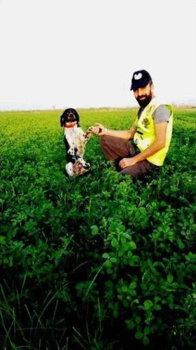 Kaybolan Av K&ouml;peğini Bulana Para &Ouml;d&uuml;l&uuml; Verecek 1