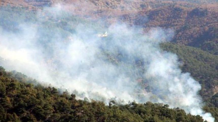 Tokat'ta Orman Yangını Kontrol Altına Alındı
