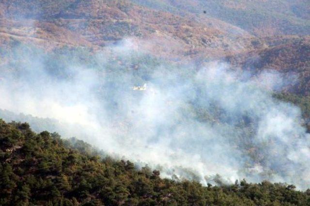 Tokat'ta Orman Yangını Kontrol Altına Alındı