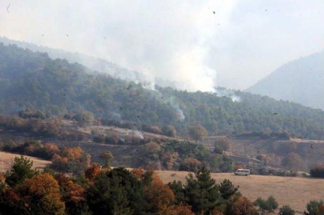 Tokat'ta Orman Yangını Kontrol Altına Alındı