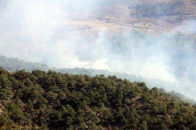 Tokat'ta Orman Yangını Kontrol Altına Alındı