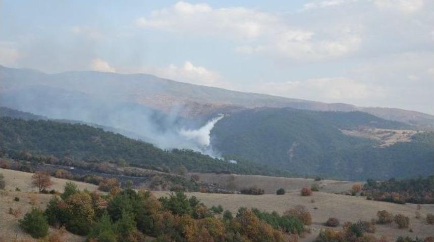 Tokat&rsquo;taki Orman Yangınına U&ccedil;akla M&uuml;dahale Ediliyor