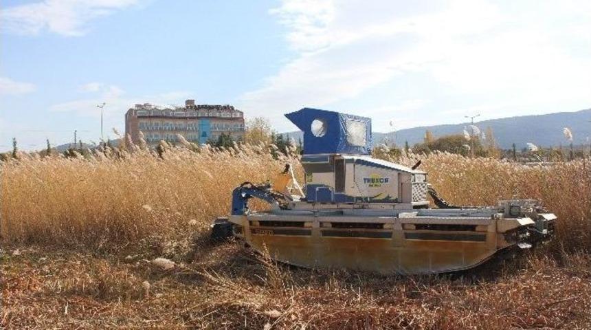 Beyşehir G&ouml;l&uuml; Kıyılarında Sucul Bitkilerinin Kesimi Yeniden Başladı