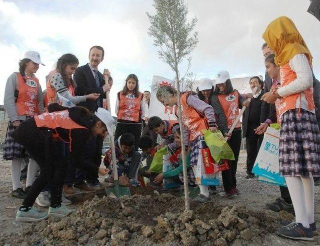 Van&rsquo;da Yeşil Osb Yeşil Kss Projesi 2