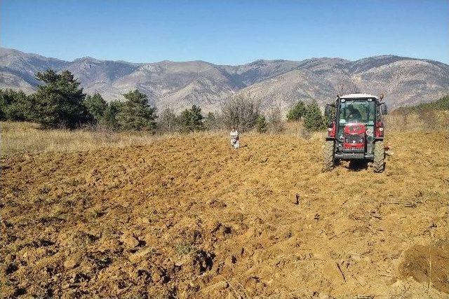 Gümüşhane’de Kuşlar Aç Kalmasın Diye Yıllardır Ekilmeyen Tarlalar Ekiliyor