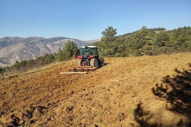 Gümüşhane’de Kuşlar Aç Kalmasın Diye Yıllardır Ekilmeyen Tarlalar Ekiliyor