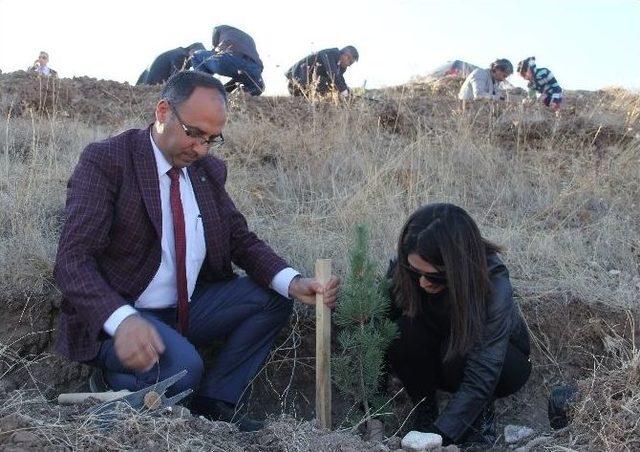 Hitit Üniversitesi Hatıra Ormanı Oluşturuldu