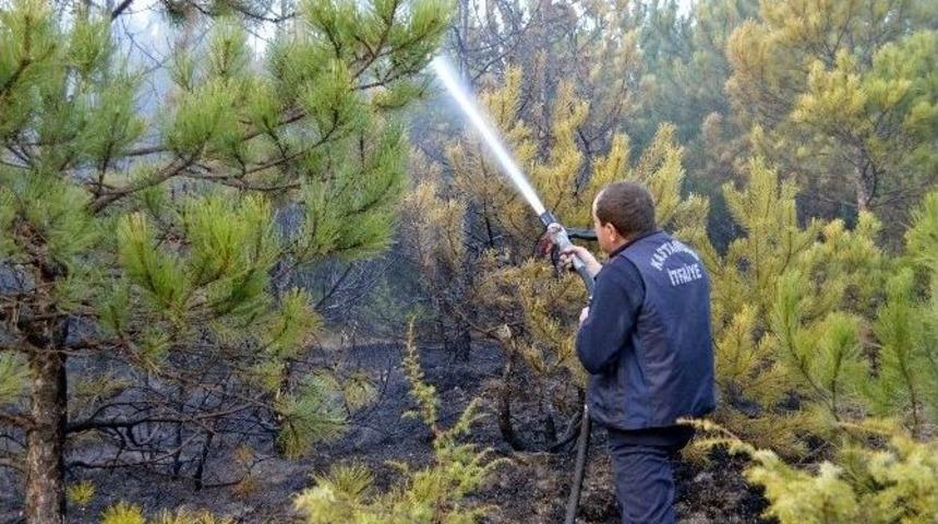Ateşle Oynayan &Ccedil;ocuklar, 5 D&ouml;n&uuml;m Ormanlık Alanı Yaktı