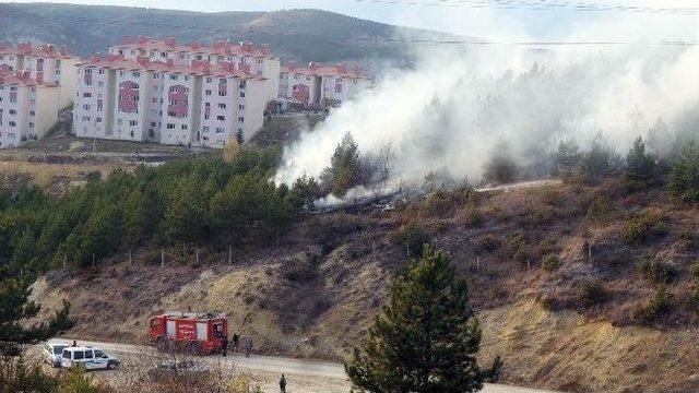 Ateşle Oynayan Çocuklar, 5 Dönüm Ormanlık Alanı Yaktı