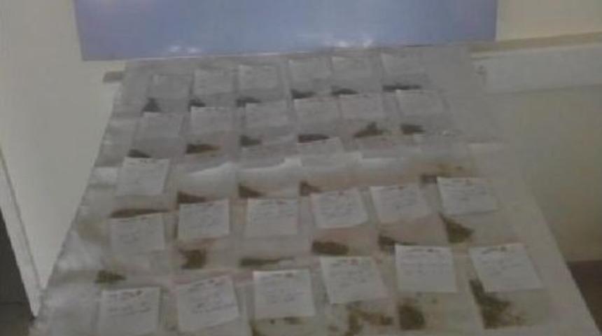 9 Ilde Uyuşturucu Operasyonuna 37 Tutuklama