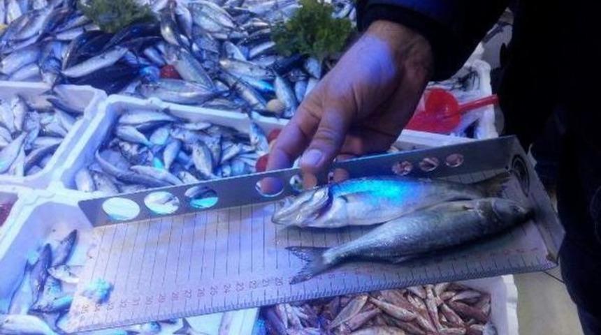 5 Ilde Bin 772 Kilo Balığa El Konuldu