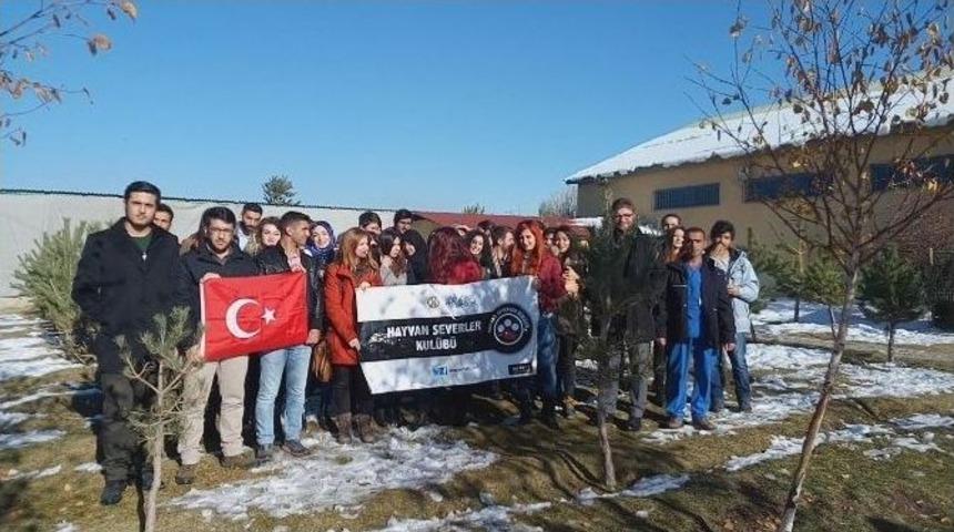 Atat&uuml;rk &Uuml;niversitesi Hayvan Severler Kul&uuml;b&uuml;&rsquo;nden Hayvan Barınağına Ziyaret