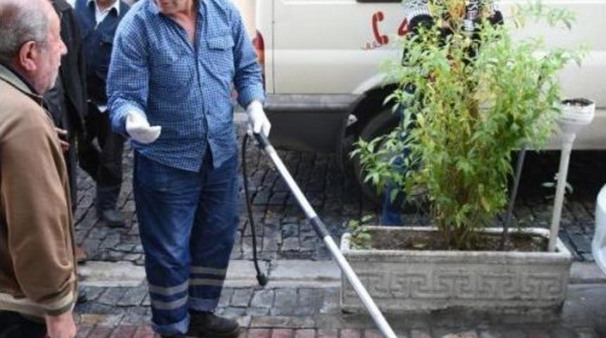 K&ouml;peğe &Ccedil;arpan S&uuml;r&uuml;c&uuml; Ka&ccedil;tı