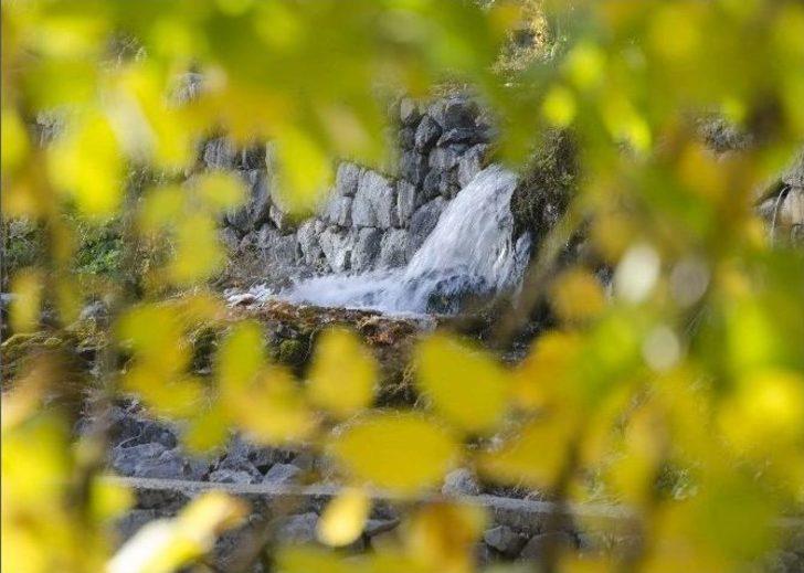 Munzur Gözeleri’nde Sonbahar Hüznü G1