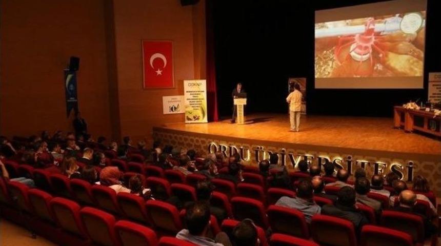 Karadeniz&rsquo;de Organik Yumurta Atağı