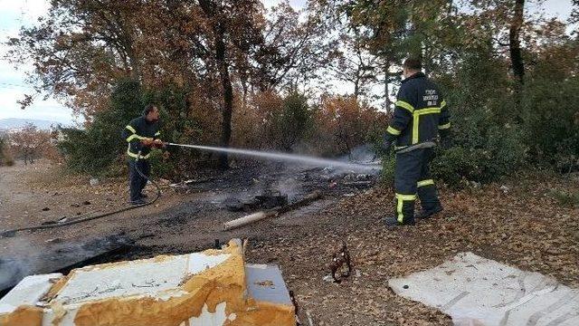 Ayyaşlar Az Kalsın Ormanı Yakıyorlardı