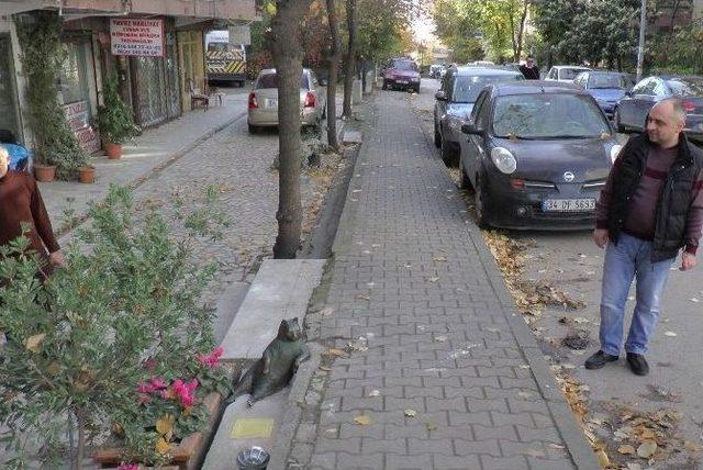 &lsquo;tombili&rsquo;nin Heykeli Yeniden Yerine Dikildi 3