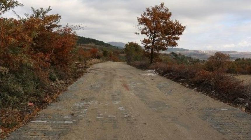 &Ccedil;amur Yoldan Tozsuz Sokağa