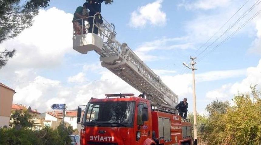 Ortaca&rsquo;da Kedi Kurtarma Operasyonu