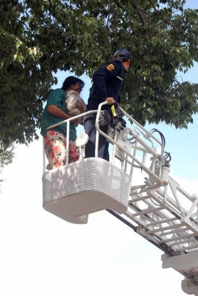 Ortaca&rsquo;da Kedi Kurtarma Operasyonu 1