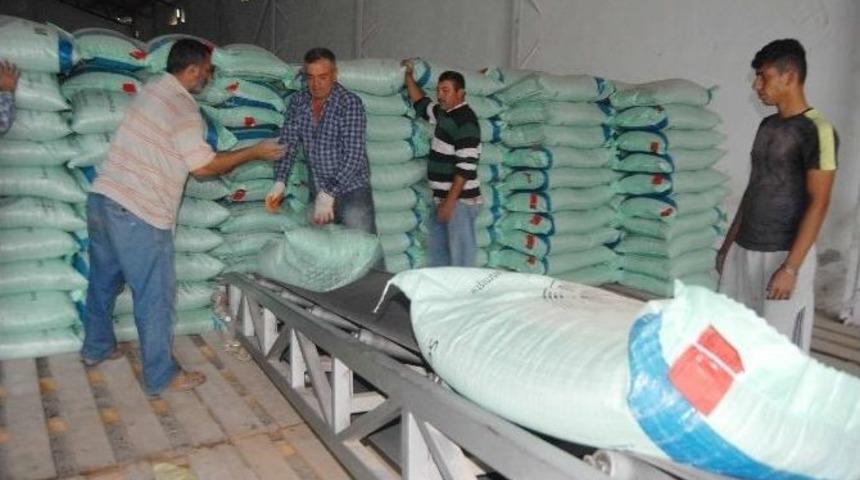 Dalaman Tigem&rsquo;den Kıbrıs&rsquo;a Tohumluk Buğday