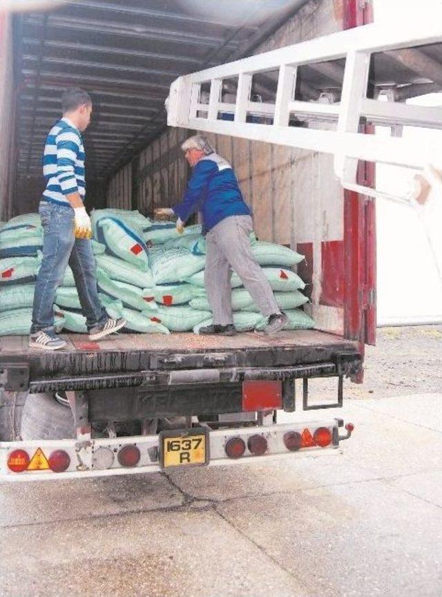 Dalaman Tigem&rsquo;den Kıbrıs&rsquo;a Tohumluk Buğday 2