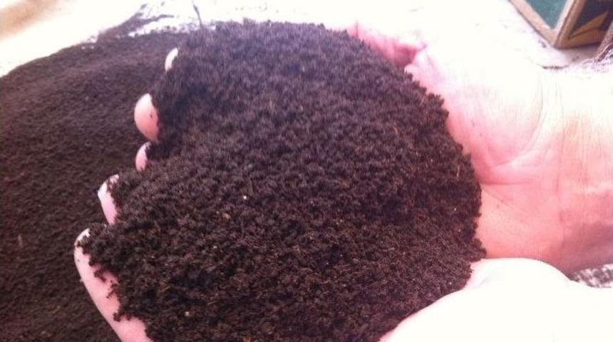 Başbakan&rsquo;ın A&ccedil;ıklamaları G&ouml;zleri Bir Kez Daha Solucan G&uuml;bresine &Ccedil;evirdi