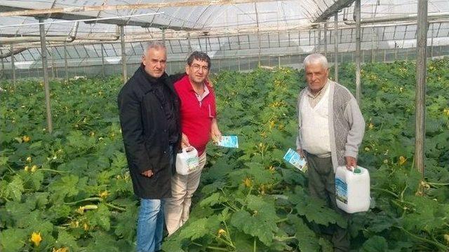 Başbakan’ın Açıklamaları Gözleri Bir Kez Daha Solucan Gübresine Çevirdi