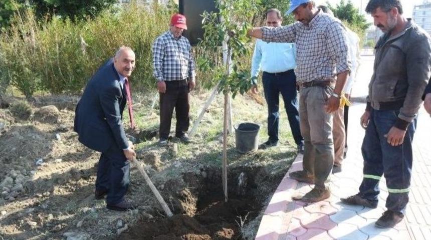 Arsuz&rsquo;da Hedef Daha Yeşil Bir Kent