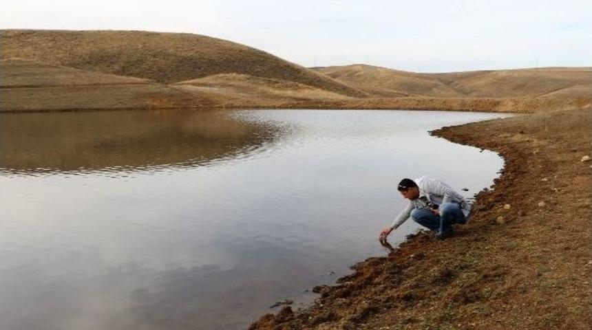 B&uuml;y&uuml;kşehir Ve A&uuml;&rsquo;den &ldquo;g&ouml;letleri Balıklandırma Projesi&rdquo;