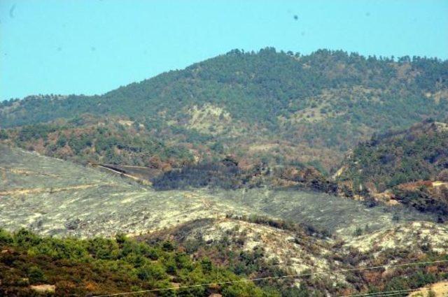 Tokat’Taki Orman Yangını Söndürüldü